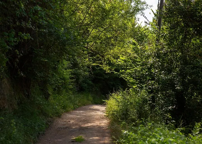 Casa Polito Casa vacanze Olba